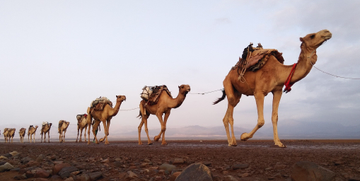 Discover Ethiopia's Nomadic Treasures
